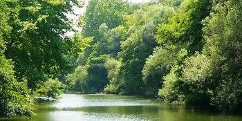 Tranquilla River - Adults Only Hotel Agva (Marmara)